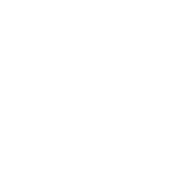 ASYO traditional logo