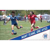Image of AYSO Many Teams, One AYSO Banner - Red Dots #1