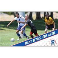 Image of AYSO Many Teams, One AYSO Banner - Red Dots #2