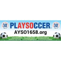 Image of AYSO Registration Banner - Blue Sky/Grass 